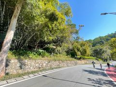 -火炉山森林公园
