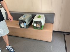 -半岛宠物医院24小时(科华中路店)