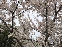 -堤角公园