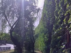 -明泽陆通汽车陪练(总店)