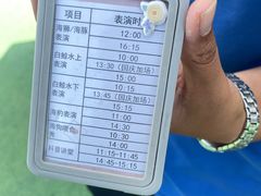 -秦皇岛乐岛海洋王国