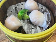 粤港虾饺皇-粤港餐厅(禹州商业广场店)