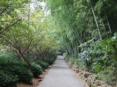 -九龙潭景区