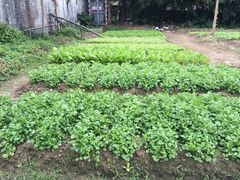 -丰宝源客家菜(常平店)