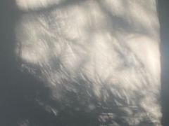 -郎园vintage·虞社演艺空间