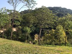-云溪植物园