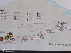-南海湾森林生态园