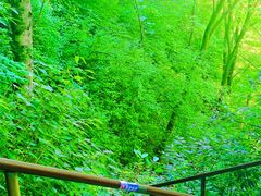 -帽儿山风景区