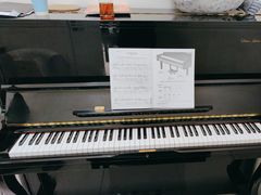 -谈·PIANO(金唐新光界店)