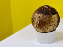 -志龙皇冠吃货椰子铺