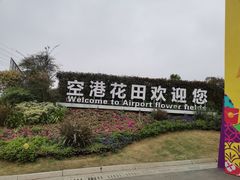 -空港花田景区