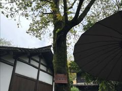 -法云安缦酒店