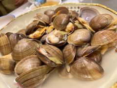 白灼黄蚬子-北塘海鲜·天津菜(大光明桥旗舰店)