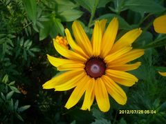 -那香海钻石沙滩浴场