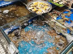 -映像威海·海鲜味道(经区店)