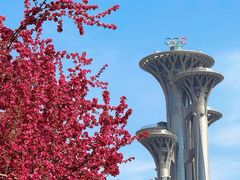 -大鸭梨烤鸭(望京店)