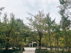 -五泄景区