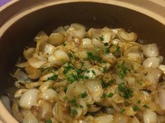 砂锅焗百合-张福记(陇海中路店)