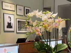 -Tiffany & Co.蒂芙尼
(天津万象城店)