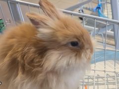 -怪兽屋·羊驼·猫咖·狗咖(俊华广场店)