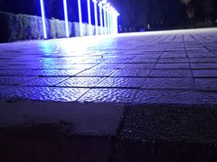 -荷园一餐厅