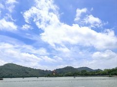-顺峰山公园