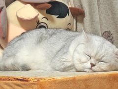 -达美乐比萨(慧忠路店)
