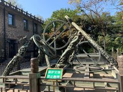 -紫金山山顶公园