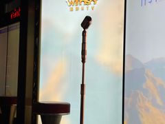 -温莎KTV(国贸店)
