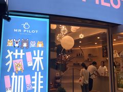 门面-飞行喵MR PILOT|猫舍·猫咖(静安大融城店)
