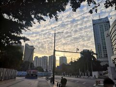 -荔枝公园-小平画像广场