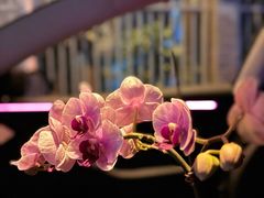 -世新养生馆(福马路店)