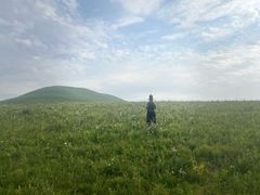 -御道口草原森林风景区