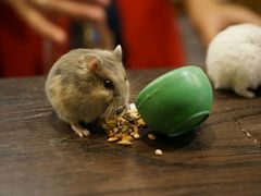 -蘭葶花酒馆(鼓楼店)