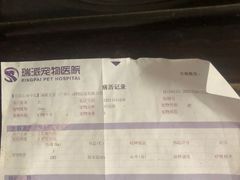 -瑞派动物医院·绝育·犬猫全科·预防医学(光景江南中店)