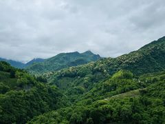 -石台牯牛降景区