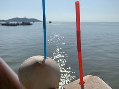 -巢湖姥山岛
