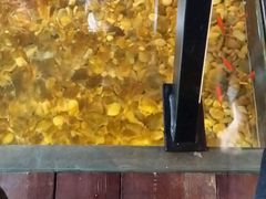-颐和•海鲜砂锅粥•啫啫煲(奥林匹克广场店)