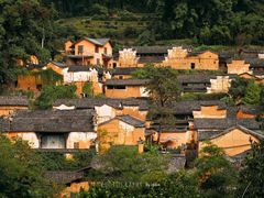 -杨家堂村