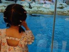 -帝企鹅自助餐厅•儿童岛•真企鹅(长隆企鹅酒店)