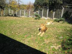 -西安秦岭野生动物园