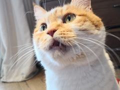 -帐篷客·溪龙茶谷度假酒店