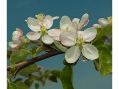 -清真全盛斋传统糕点(西羊市店)