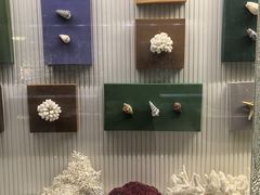 -青岛贝壳博物馆