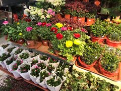 -山东嘉汇文化用品有限公司张店凤凰国际分公司(新村西路店)