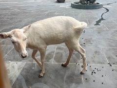 -金沙遗址博物馆