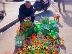 -宿州花鸟鱼虫古玩宠物大市场