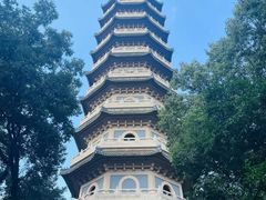 -灵谷景区