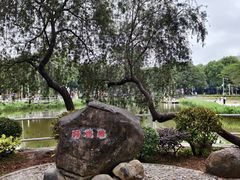 -金砂公园