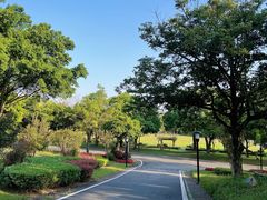 -福建鲤鱼洲酒店